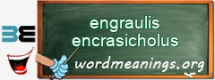 WordMeaning blackboard for engraulis encrasicholus